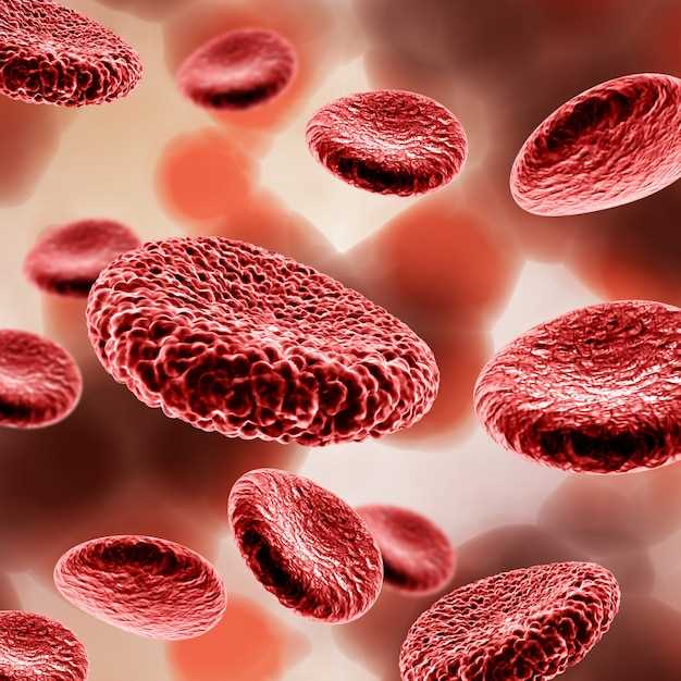 Классификация бластных клеток и их значения в анализе крови