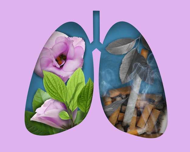 Значение профилактики болезней дыхательной системы