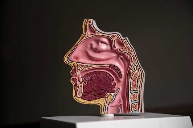 Анатомия лица: расположение тройничного нерва