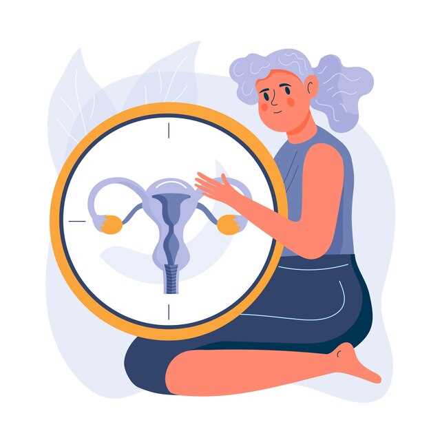 Рассмотрение фаз менструального цикла