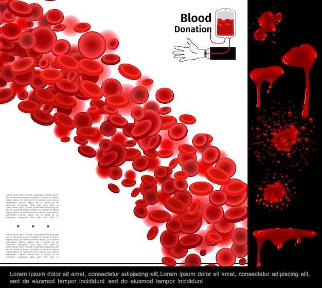 Какие болезни и факторы могут вызывать повышенный уровень лейкоцитов в крови