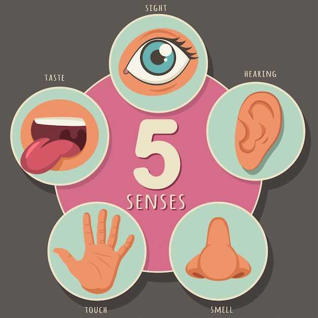 Определение понятия 'область за ухом' и ее медицинское значение