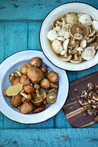Сочетание грибов с овощами в питании